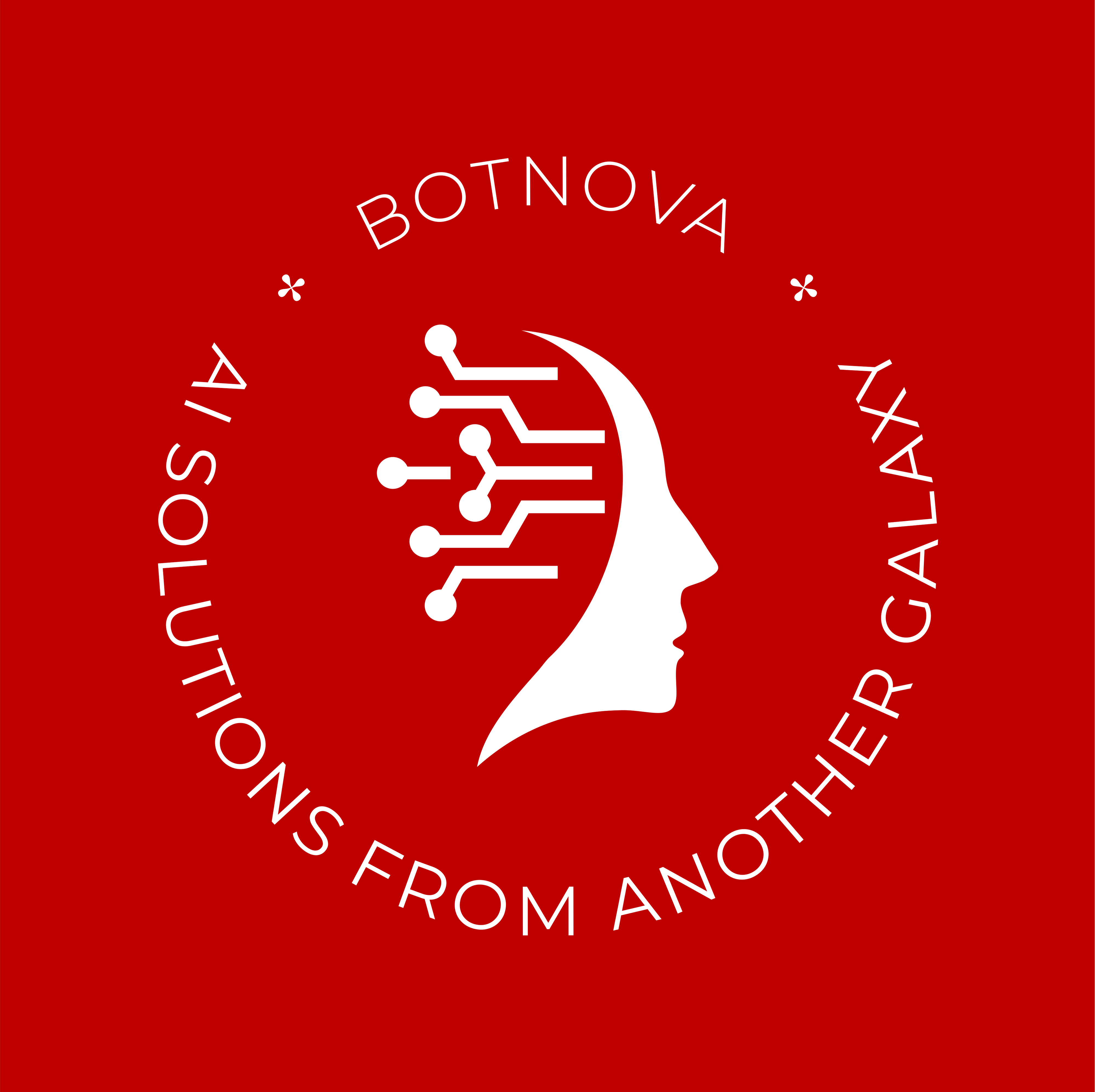 Bot Nova logo
